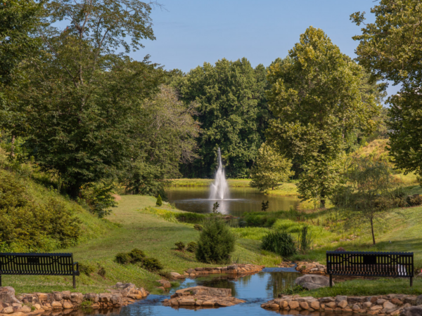 Fountain and park on campus