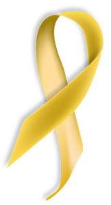 https://www.va.gov/education/yellow-ribbon-participating-schools/?name=reinhardt&state=GA